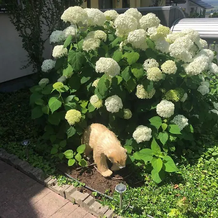 Privatunterkunft Dachgeschoss In Einem Reihenhaus *